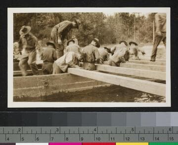 Engineer training, wood bridge, alternate view