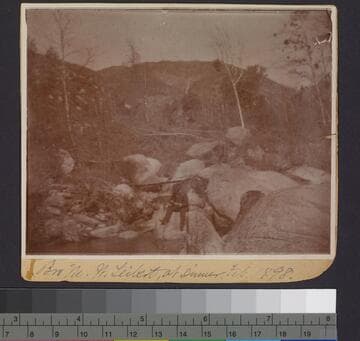 Bro M. W. Leibert, at dinner