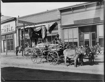 Las Vegas, donkeys pulling loaded cart