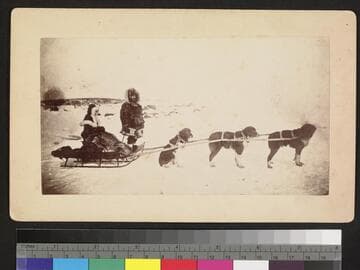 2 men with dog sled and dogs