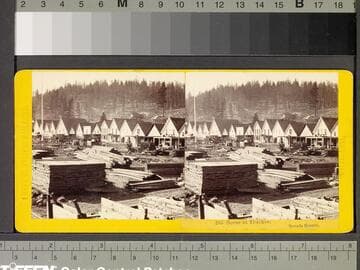 263. Scene at Truckee