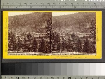 259. Coldstream Valley