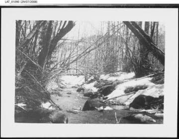 Leandro stream at Vermejo Ranch