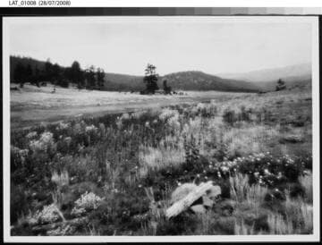 Field with hills in the distance at Vermejo Ranch