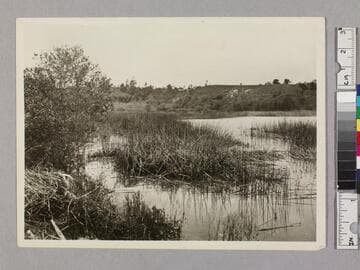 Wilson Lake (Don Benito Wilson) near San Marino