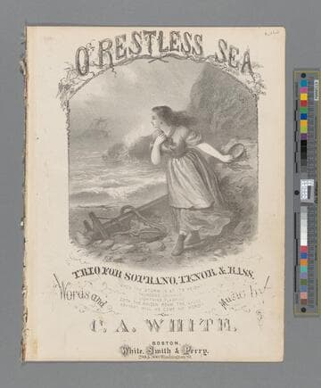 O, restless sea : trio for soprano, tenor & bass / words and music by C. A. White arranged by Wm. Gooch