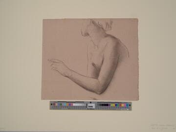 Study of a Bust of a Woman