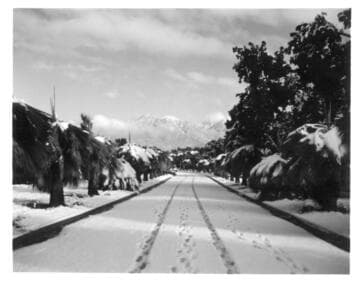 Palm drive after snowfall, January 11, 1949