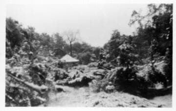 Japanese garden after snowfall, January 15, 1932