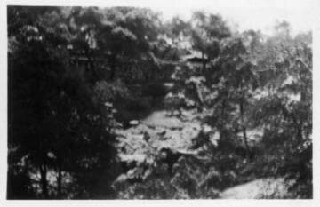 Japanese garden and wisteria pergola after snowfall, January 15, 1932