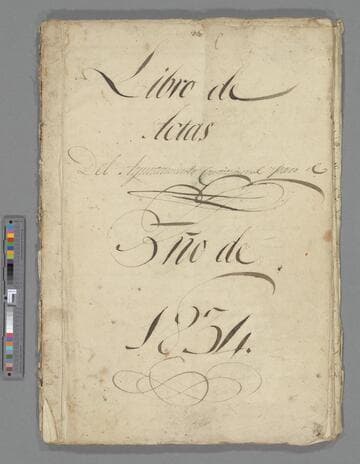 Libro de Tactas Del Ayuntamiento Constitucional para el año 1834