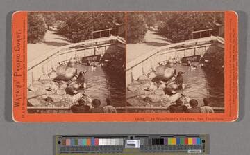 At Woodward's Gardens, San Francisco