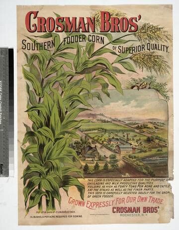 Crosman Bros’ southern fodder corn of superior quality