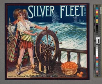 Silver Fleet Brand