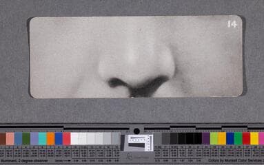Go to image 41.