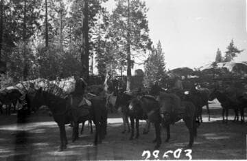 Big Creek, Fish Valley