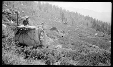 Big Creek, Fish Valley - Fish Creek Project