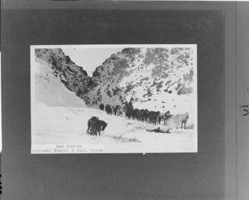 Freighting supplies over the White Mountains during the winter of 1904-1905, during the building of the line from Bishop to Tonopah