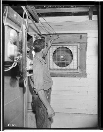 P2 - Poultry - Poultry Book