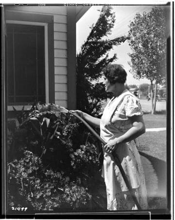 Mrs. _ sprinkling for fair exhibit