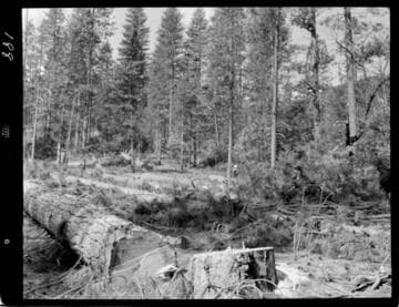 Big Creek - Mammoth Pool - Borrow Pit No. 2 where haul roads enter