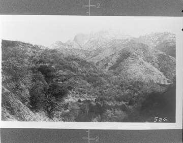 A view of the mountains near Kaweah