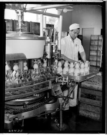 D1 - Dairy - Electrical Times Dairy Series