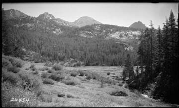 Fish Valley