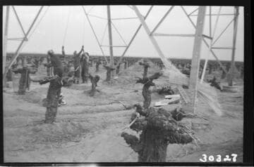 Vincent Transmission Line