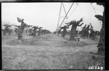 Vincent Transmission Line