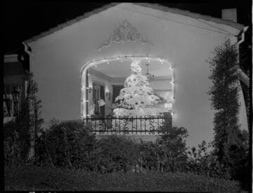 Christmas home lighting