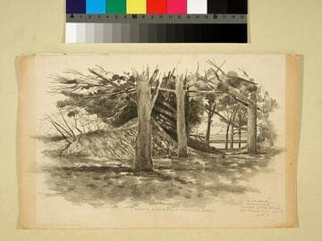 Sand Dunes, Golden Gate Park, San Francisco, Calif.