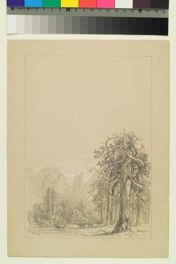 Valley Floor, with View of Cathedral Spires