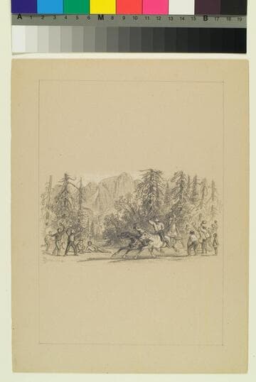 Horse Racing in Yosemite