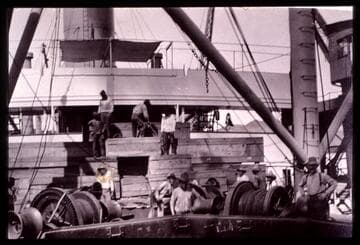 Plants bound for San Marino ranch being loaded onto a ship, circa 1912