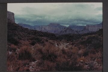 North through Driftwood Canyon.  Mt. Burro on skyline at left