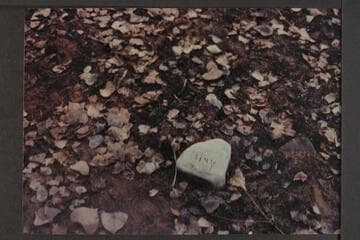 Tiny; cut on rock near turn to upper spring in Diamond Creek