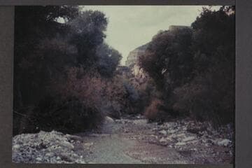 Diamond Creek at junction with Robbers Roost