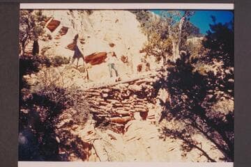 Switchback in the Coconino.  Grand View Trail