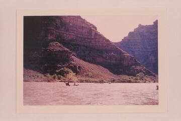 Mile 60 in Desolation Canyon.  The snag was torn loose from the shore when Al Morton's boat fouled it and turned over.  The capsized boat is floating downriver in the distance
