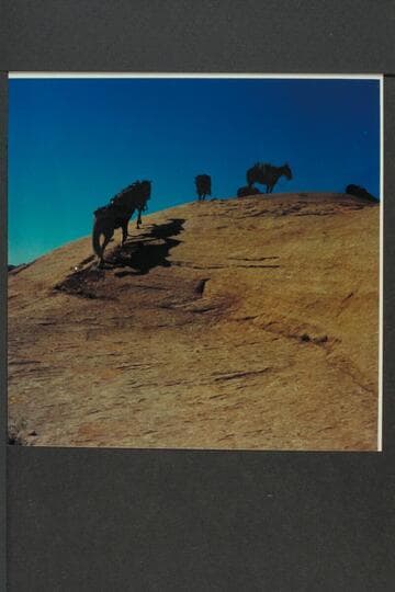 Climb out of Nasja Creek onto eastern flank of Nasja Mesa en route to Dead Center Camp