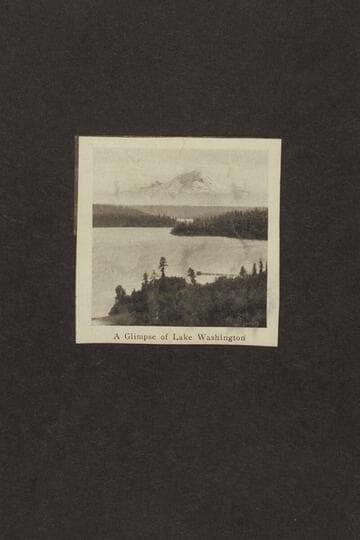 A Glimpse of Lake Washington