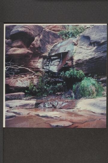 Melody Spring; Mile 1, left bank, San Juan River