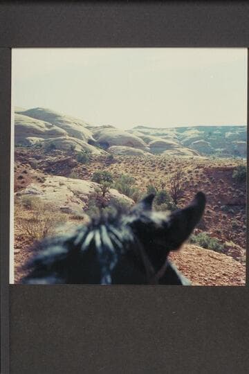 West of Southerly from divide between Wilson Canyon and side canyon into Glen at 83-84