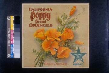 California poppy brand oranges
