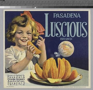 Pasadena luscious brand