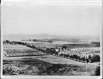 East Hollywood, from Laughlin Park