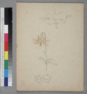 Drawing book by F.J. Monroe