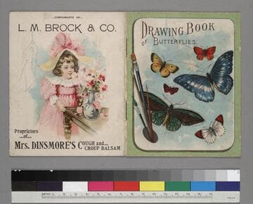 Drawing Book of Butterflies