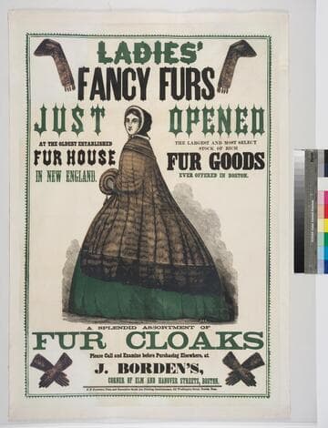 Ladies' fancy furs just opened at the oldest established fur house in New England. The largest and most select stock of rich fur goods ever offered in Boston